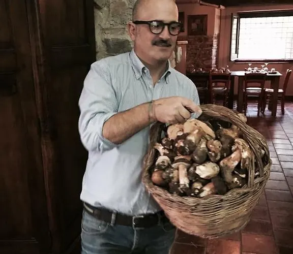 Alojamento de Acomodação e Pequeno-almoço Tenuta Terrarossa