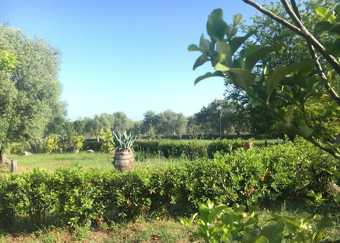 Alojamento de Acomodação e Pequeno-almoço Tenuta Terrarossa 3*