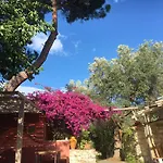 Tenuta Terrarossa Rossano