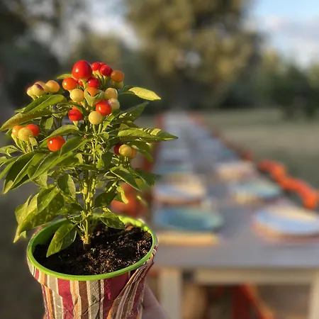 Tenuta Terrarossa Alojamento de Acomodação e Pequeno-almoço Rossano