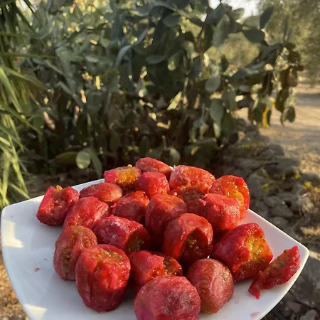 Tenuta Terrarossa 3*