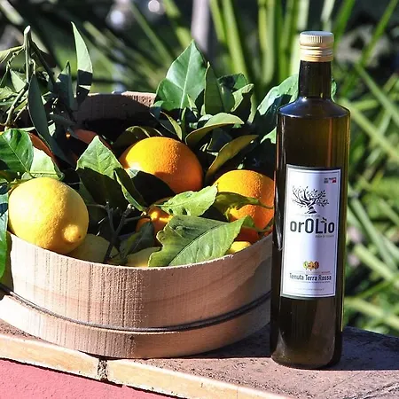 Tenuta Terrarossa 3*