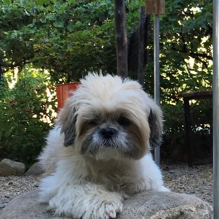 Bed & Breakfast Tenuta Terrarossa 3*