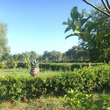 Bed & Breakfast Tenuta Terrarossa 3*