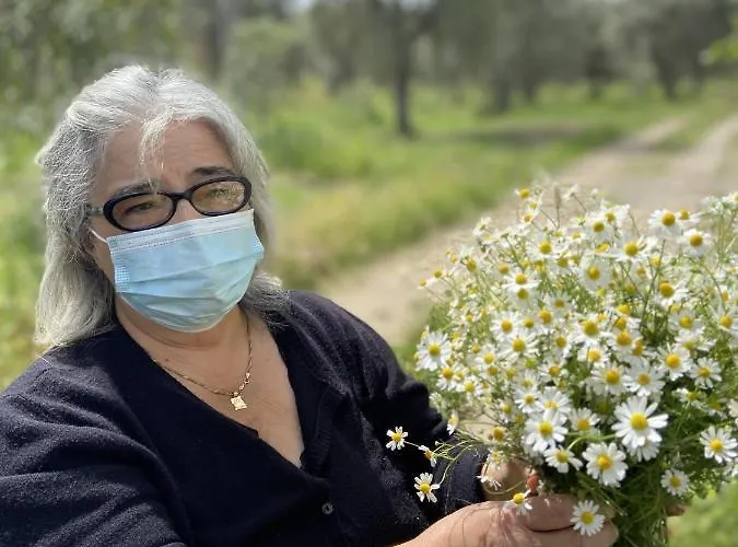 Tenuta Terrarossa לינה וארוחת בוקר רוסאנו