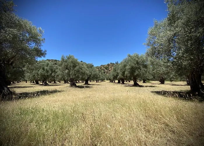 לינה וארוחת בוקר Tenuta Terrarossa