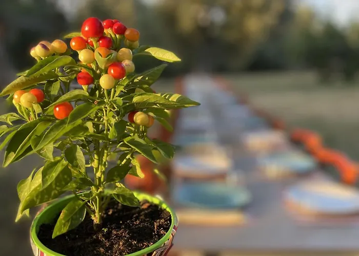 Tenuta Terrarossa 住宿加早餐酒店 罗萨诺