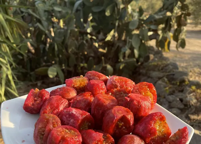 Tenuta Terrarossa 3*