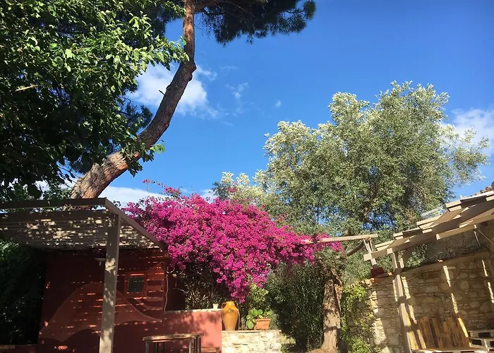 Tenuta Terrarossa רוסאנו