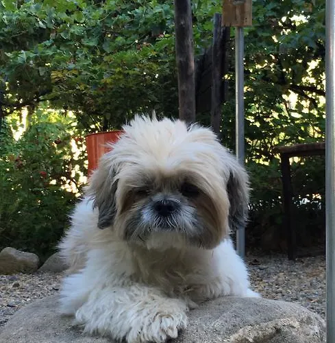 住宿加早餐酒店 Tenuta Terrarossa 3*